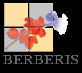 Właśnie dzięki zorientoaniu na klienta, Berberis istotnie przyczynia się do podniesienia jakości jego obsługi.