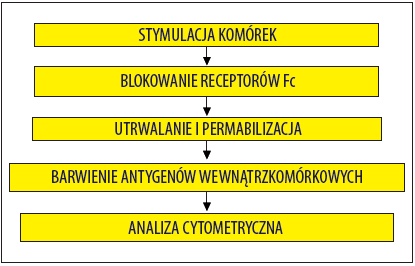 ELISPOT oraz technika wewnątrzkomórkowego barwienia