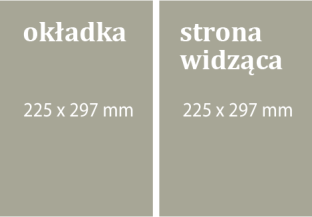 Cennik dla edycji w języku polskim i angielskim Cała strona 17 000 zł Junior page 15 000 zł ½ strony 10 200 zł White paper 18 000 zł White paper 26 000 zł Skrzydełko na okładkę 40 000 zł Banderola 38