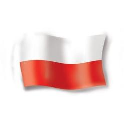 Potencjał rynku w Polsce (2) Potencjał rynku może być oceniany na podstawie sprzedaży z sąsiedniego rynku niemieckiego w oparciu o korektę zdolności nabywczej.