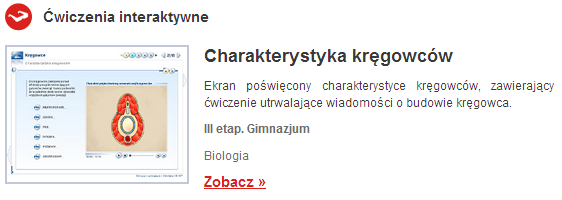 Projekt OKNO NA ŚWIAT - PRZECIWDZIAŁANIE WYKLUCZENIU CYFROWEMU W MIEŚCIE 3.