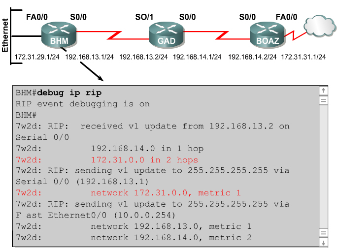pokazano dane wyjściowe polecenia debug ip rip po odebraniu aktualizacji RIP przez router.