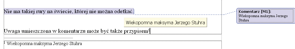 włącza się go poprzez menu Widok/Paski narzędzi. Zaawansowane opcje wstawiania obiektów graficznych zostały umieszczone w menu w grupie Wstaw/Obraz. Rys. 48.