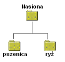 18. Odszukać na dysku roboczym folder Nasiona i utworzyć w nim dwa foldery: pszenica i ryż, zgodnie ze schematem przedstawionym poniżej. 19. Zaznaczyć w folderze ecdltest pliki faktura.