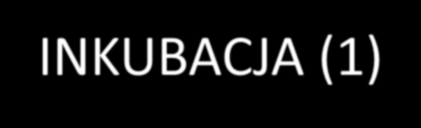 INKUBACJA (1) Wsparcie funkcjonowania firm od chwili rejestracji działalności gospodarczej do czasu osiągnięcia przez nie stabilnej pozycji rynkowej.