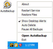 Korzystanie z ikon w programach FreeAgent Tools i AutoBackup Po zainstalowaniu oprogramowania FreeAgent Tools i AutoBackup na pulpicie oraz pasku zadań zostaną umieszczone ikony tych programów.