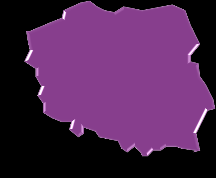 IFS W POLSCE Gdańsk IFS w POLSCE (CEE & Poland) Poznań Warszawa Kraków Rok założenia: 1992 Liczba pracowników: około 200 Liczba Klientów: około 170 Pozycja na rynku: Główne sektory: wśród trzech