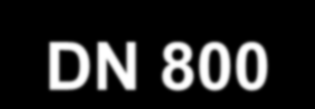 800