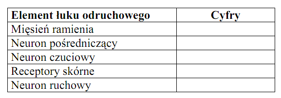 W związku z dużą aktywnością ruchową i koniecznością szybkiej reakcji na bodźce u człowieka i wielu innych organizmów wykształciła się dwojakiego rodzaju kontrola wielu procesów życiowych: nerwowa i