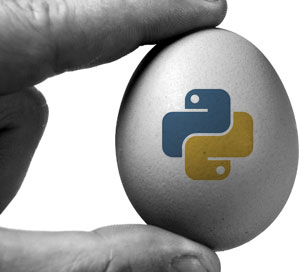 Python i Ruby :)