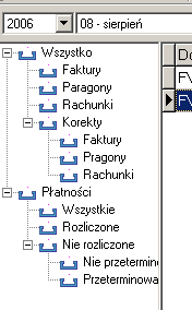 Lista dokumentów Lista dokumentów zawiera utworzone i wystawione dokumenty.