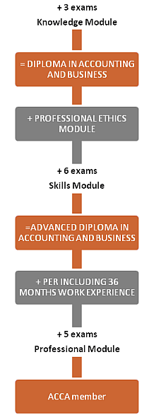 PROFESSIONAL ETHICS MODULE (PEM) PRACTICAL EXPERIENCE REQUIREMENTS (PER) Poza zdaniem 14 przedmiotów objętych programem kwalifikacji oraz przejściem Modułu Etycznego, warunkiem zdobycia członkostwa w