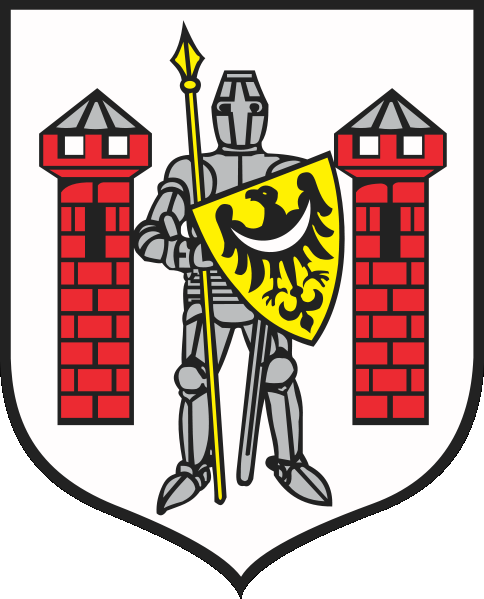 Diagnoza Lokalnych Zagrożeń Społecznych Sulechów 2012 Wykonawca: