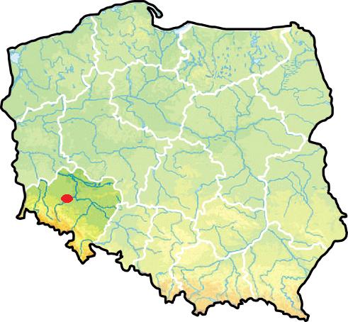 gmina, której powierzono zadanie organizacji na mocy porozumienia między gminami, których obszar liczy łącznie co najmniej 80 000 mieszkańców w zakresie linii komunikacyjnej albo sieci komunikacyjnej