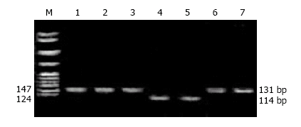Metody wykrywania znanych polimorfizmów wykorzystujące elektroforezę żelową PCR-RFLP Detekcja mutacji punktowej w 12 kodonie onkogenu K-ras