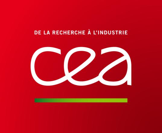 FRANCUSKI KOMISARIAT DS.ENERGII ATOMOWEJ (CEA) Dziedzina: energia jądrowa Szkolenia organizowane przez Francuski Komisariat ds.