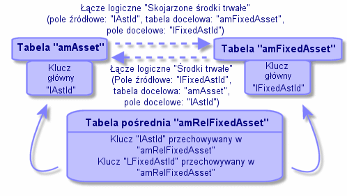 AssetCenter Tabele pośrednie Tabele pośrednie są używane wyłącznie w przypadku łączy logicznych o krotności n-n.