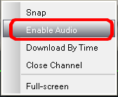B-Viewer - manual, ver. 1.0 PLAYBACK AND COPYING OF THE RECORDINGS 6.9.