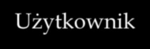 Platforma Cognos Czy system zostanie dostosowany do naszych potrzeb?