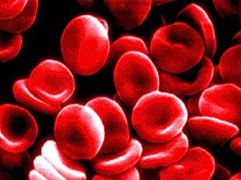 Uwolnioną do osocza hemoglobinę komórki śródbłonka naczyń wychwytują i rozkładają na aminokwasy, a hem zamieniają w bilirubinę, która przekazywana jest do wątroby, a następnie wydalana jako barwnik