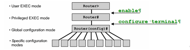 SIECI KOMPUTEROWE - BIOTECHNOLOGIA DWICZENIE 3 BUDOWA SIECI LOKALNEJ SYMULATOR DYDAKTYCZNY 1 SYMULATOR DYDAKTYCZNY PACKET TRACER Zainstaluj aplikację Packet Tracer, a następnie zapznaj się z jej