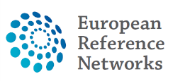 ERN Scenario Call for Networks Open application Individual Providers Network proposals Individual application Eligibility check Technical Assessment (criteria & conditions) ERN Positive Assesment
