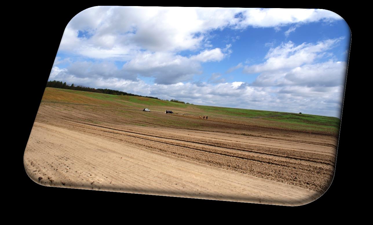 Winnica Zabór - historia - 2012 Zabór Vineyard - history - 2012 (10) Kolejne inwestycje New