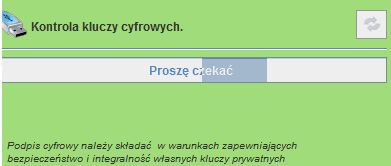 W tym czasie prywatny klucz cyfrowy klienta powinien być włożony do portu USB komputera (może być też włożony wcześniej).