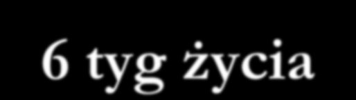 USG diagnostyka postnatalna