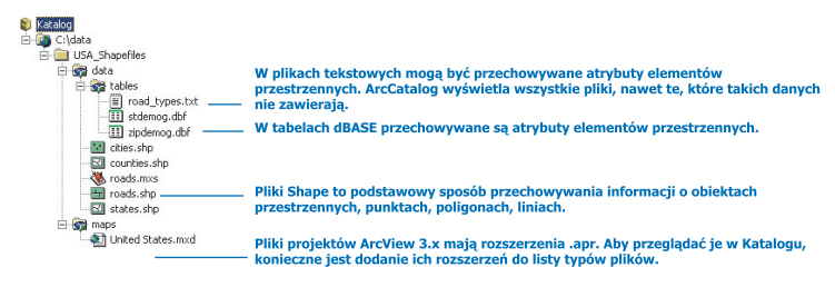 TYPY FOLDERÓW I PLIKÓW W APLIKACJI ArcCatalog Mapy, warstwy 1, wykresy Pliki shape, tabele dbase i pliki tekstowe 1 Pliki warstwy *.