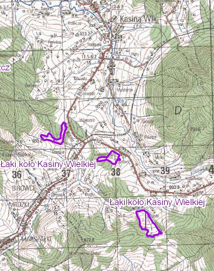 7) Łąki koła Kasiny Wielkiej PLH 120082 24,4 ha (całość w powiecie limanowskim) Lasy Siedliska rolnicze Obszar obejmuje trzy niewielkie kompleksy łąk trzęślicowych i świeżych w Beskidzie Wyspowym.