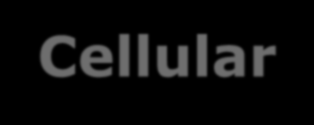 Redundancja i niezawodność Wiele możliwości zabezpieczeń Wielokrotność interfejsów WAN Łączność 3G/4G PSTN fallback Lokalny routing połączeń PSTN Cellular 2 WAN ITSP-2