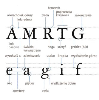 Rys. 9. Anatomia liter Źródło: S. Timothy, Kroje i kolory pisma Przewodnik dla grafików, Wydawnictwo Naukowe PWN SA, Warszawa 2010, s. 7 Kolejnym ważnym elementem jest grubość kresek.