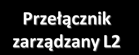 Sieć LAN VLAN