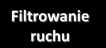 Anty-wirus Firewall / listy kontroli dostępu Kontrola aplikacji NAT/PAT Intrusion Prevention System Ochrona interfejsu