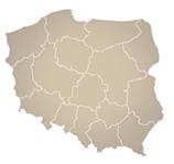Zidentyfikowanie potrzeb klienta Regionalnego Ośrodka EFS oraz udzielenie podstawowej informacji nt. funduszu. 2. Usługa informacyjna nt.