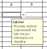 4. Należy stosować matematyczny zapis liczb np. 23456. (Uwaga! Nie stosujemy kropek ani innych znaków między tysiącami a setkami Excel nie liczy takich liczb) 5.