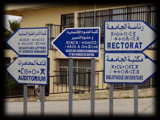 Językiem urzędowym w Algierii jest język arabski; Algierczycy