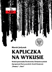 53 Marek Jedynak Kapliczka na Wykusie.
