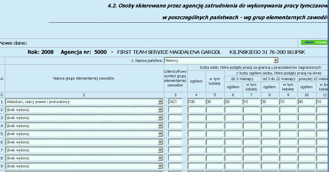 Rys.20 Okno Sprawozdania formularz pkt 4.