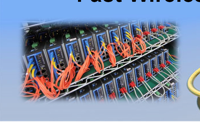 Zero Recovery Time Ring/Chain Network