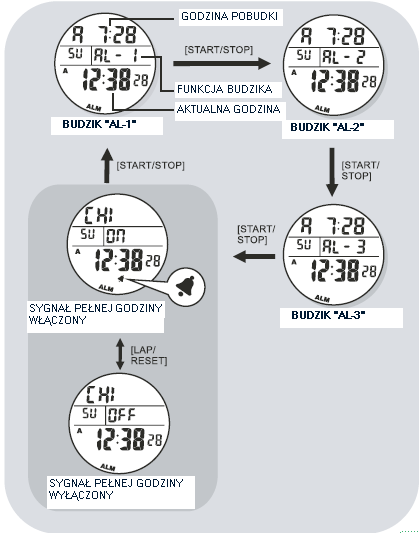 Przyciskając ponownie przycisk START/STOP dokonamy zmiany ustawień dla godziny, roku, miesiąca, daty, trybu 12/24h oraz kontrastu wyświetlacza jak również wyświetlanej informacji o stanie baterii.