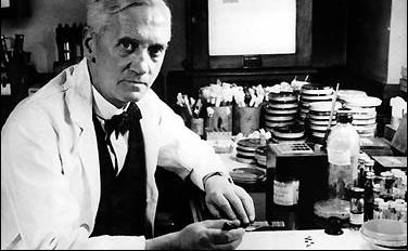 Aleksander Fleming Szkocki bakteriolog i lekarz. Odkrywca wpływu pleśni pędzlaka na gronkowce (1929), co było kamieniem milowym w odkryciu penicyliny.