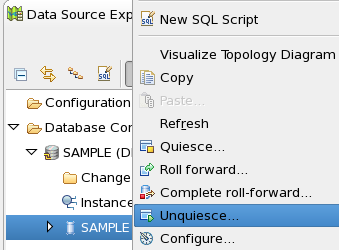 3 W panelu SQL Results sprawdź rezultat. 4 Zauważ, że po wykonaniu polecenia Quiesce połączenie z bazą danych zostało utracone. Połącz się ponownie z bazą SAMPLE.