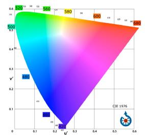Widzenie barw Krzysztof Korona Fizyka w doświadczeniach okno optyczne 400 nm ( barwa fioletowa) 700 nm (barwa czerwona)