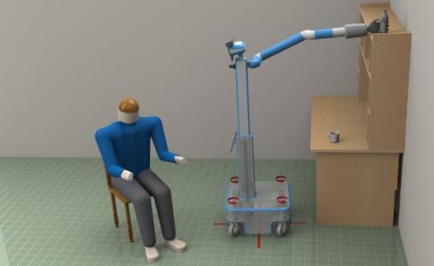 physical and cognitive decline Robotic