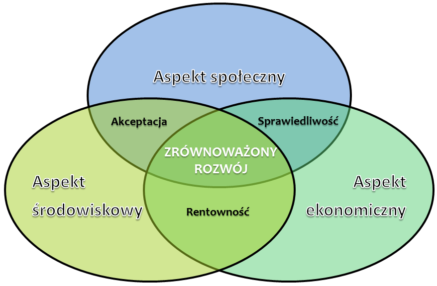 4. Wyroby zgodne z zasadą zrównoważonego rozwoju i kryteria oceny 4.1.