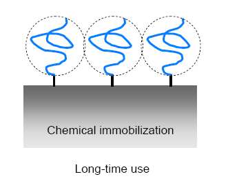 Immobilization of biomolecules Short time -Physical