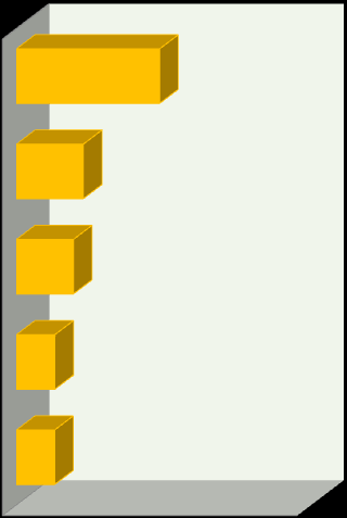 TOP 5 w Internecie i w social media Tomasz Zadroga (PGE) 24,3% Maciej Witucki (TP) 19,0% Zbigniew Jagiełło (PKO BP) 11,3% Zbigniew Jagiełło (PKO BP) 14,9% Maciej Witucki (TP) 9,7%