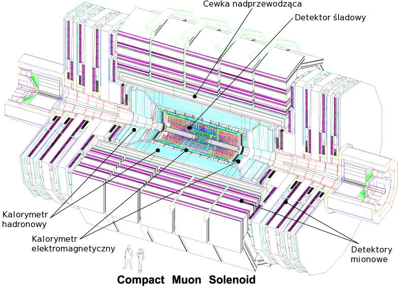 Detektor CMS Detektor CMS (Compact Muon Solenoid) jest jednym z dwóch największych detektorów zbudowanych przy akceleratorze LHC.